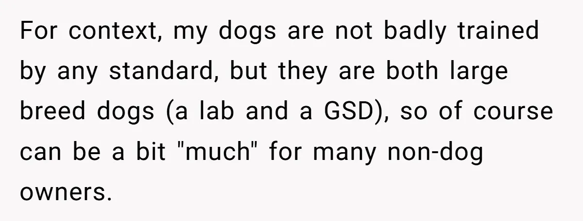 For context, my dogs are not badly trained by any standard, but they are both large breed dogs (a lab and a GSD), so of course can be a bit...