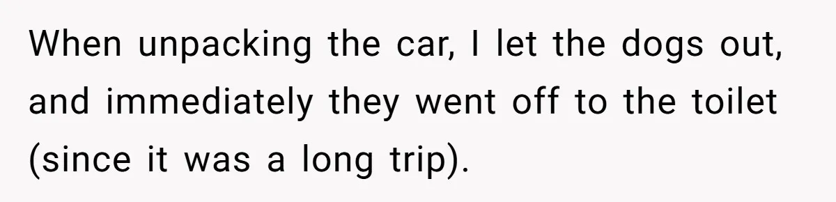 When unpacking the car, I let the dogs out, and immediately they went off to the toilet (since it was a long trip).