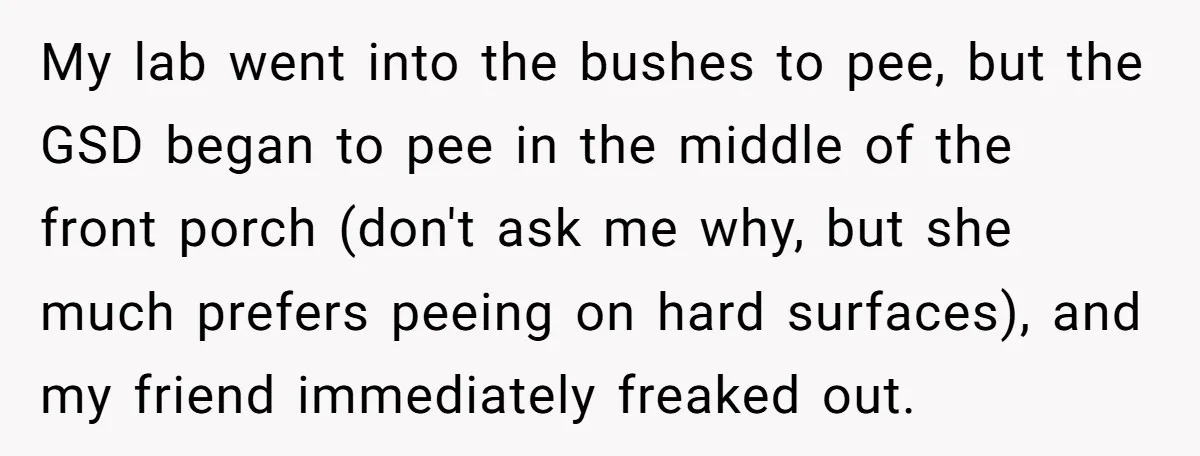 My lab went into the bushes to pee, but the GSD began to pee in the middle of the front porch (don't ask me why, but she much prefers peeing...