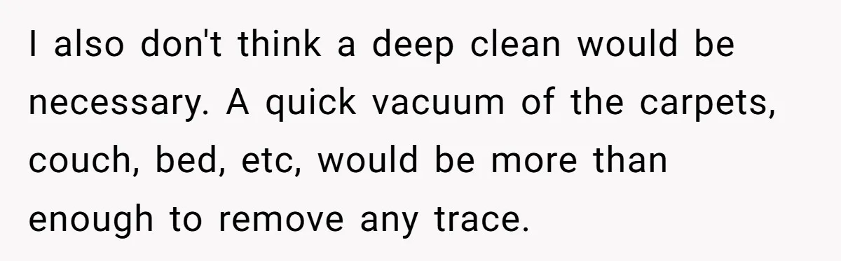 I also don't think a deep clean would be necessary. A quick vacuum of the carpets, couch, bed, etc, would be more than enough to remove any trace.