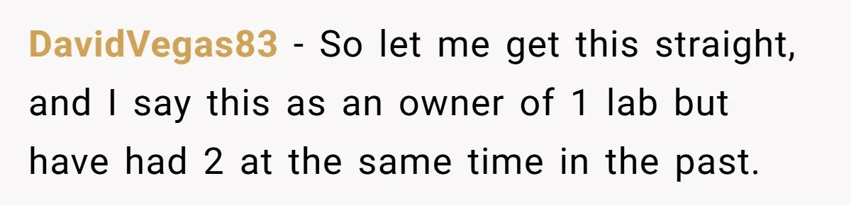 DavidVegas83 − So let me get this straight, and I say this as an owner of 1 lab but have had 2 at the same time in the past.