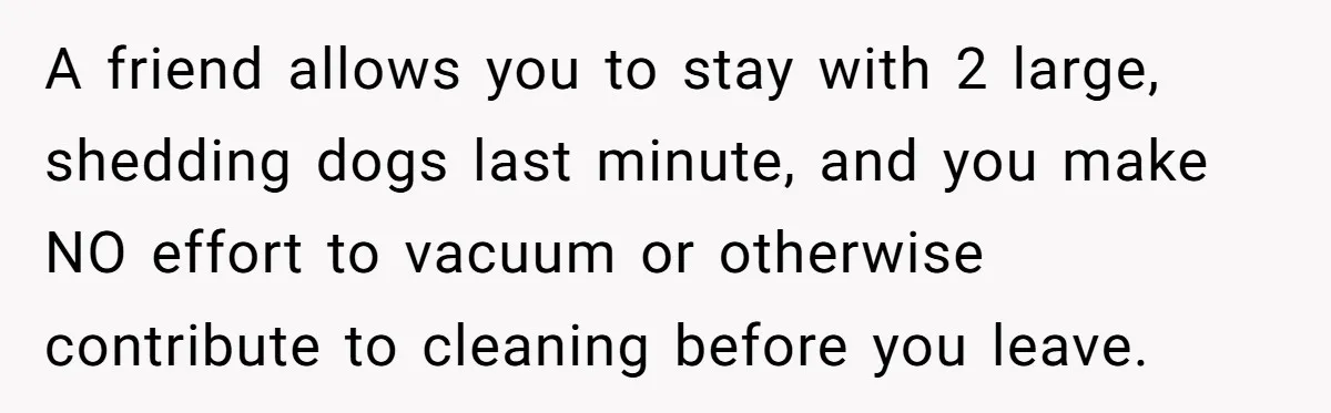 A friend allows you to stay with 2 large, shedding dogs last minute, and you make NO effort to vacuum or otherwise contribute to cleaning before you leave.