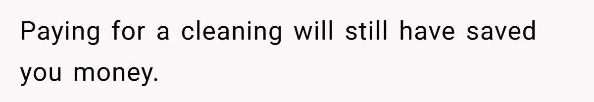 Paying for a cleaning will still have saved you money.
