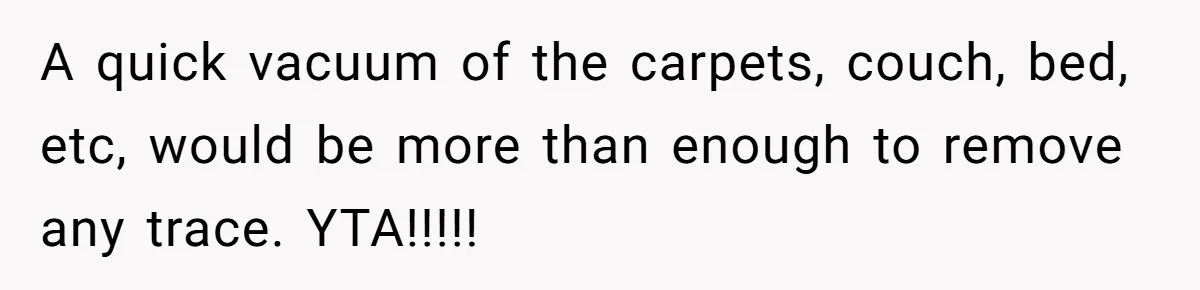 A quick vacuum of the carpets, couch, bed, etc, would be more than enough to remove any trace. YTA!!!!!