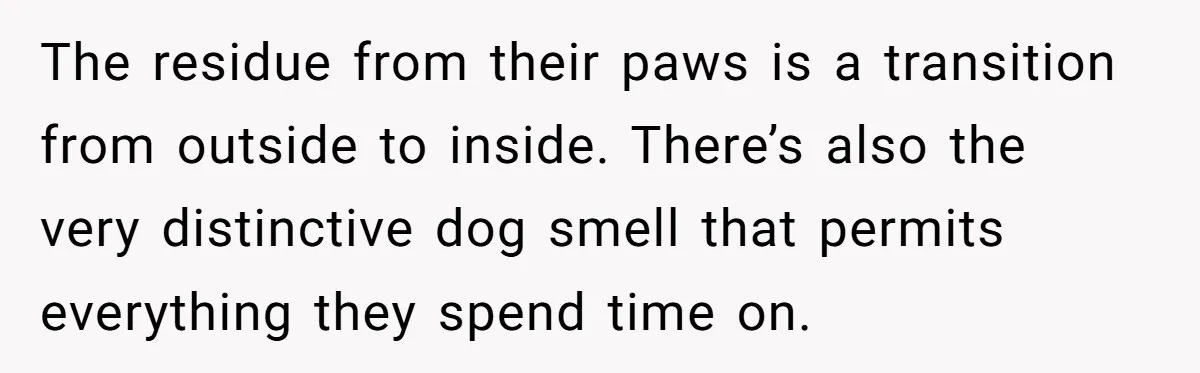 The residue from their paws is a transition from outside to inside. There’s also the very distinctive dog smell that permits everything they spend time on.