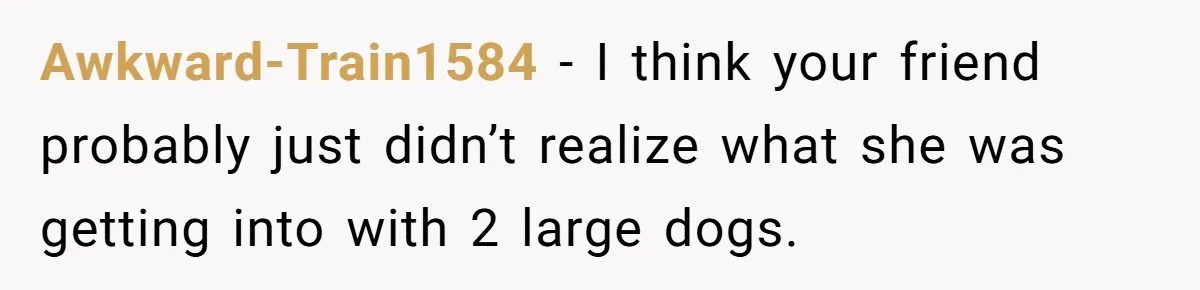 Awkward-Train1584 − I think your friend probably just didn’t realize what she was getting into with 2 large dogs.