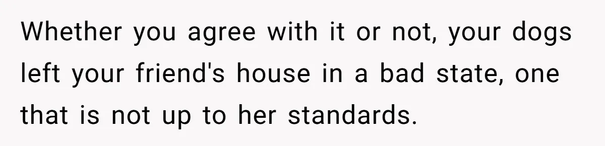 Whether you agree with it or not, your dogs left your friend's house in a bad state, one that is not up to her standards.