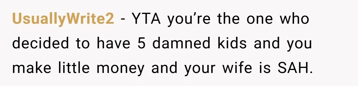 UsuallyWrite2 − YTA you’re the one who decided to have 5 damned kids and you make little money and your wife is SAH.