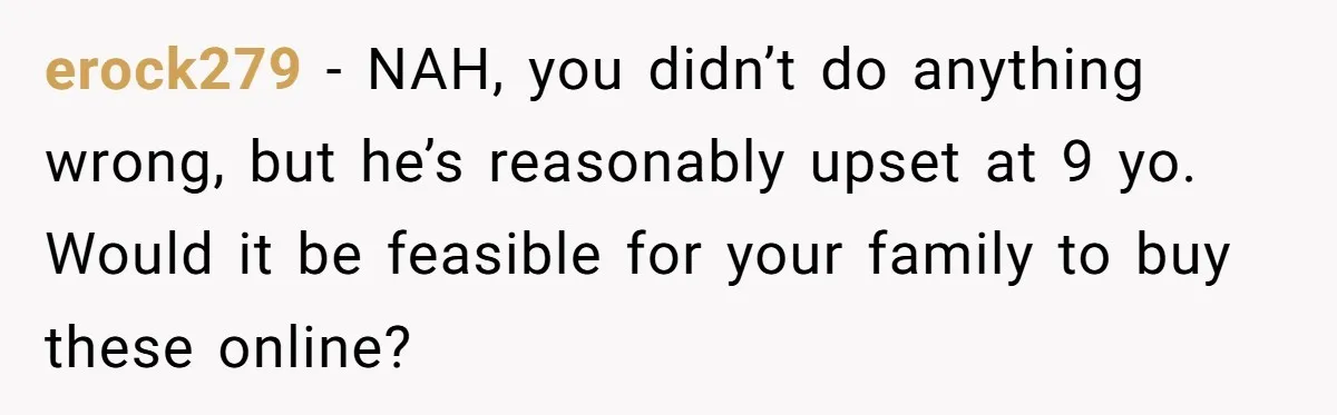 erock279 − NAH, you didn’t do anything wrong, but he’s reasonably upset at 9 yo. Would it be feasible for your family to buy these online?