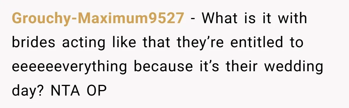 Grouchy-Maximum9527 − What is it with brides acting like that they’re entitled to eeeeeeverything because it’s their wedding day? NTA OP