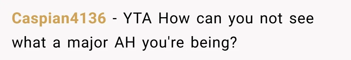 Caspian4136 − YTA How can you not see what a major AH you're being?