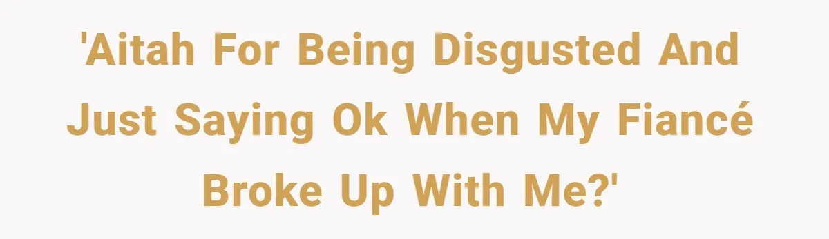 'AITAH for being disgusted and just saying OK when my Fiancé broke up with me?'