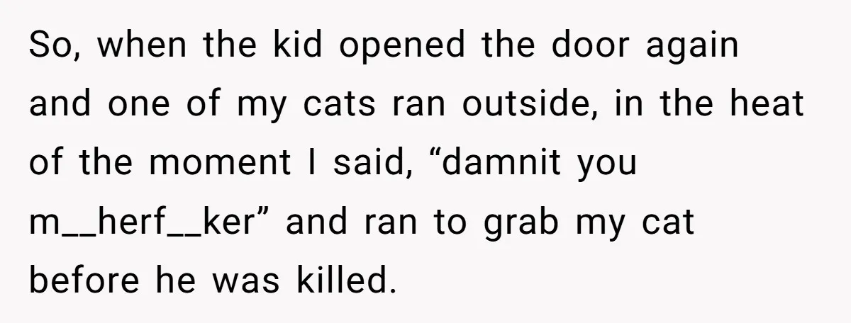 So, when the kid opened the door again and one of my cats ran outside, in the heat of the moment I said, “damnit you m__herf__ker” and ran to grab...