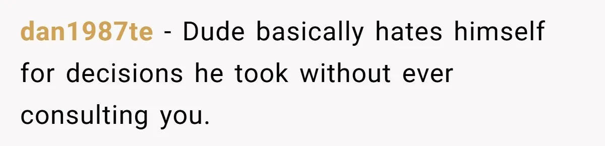 dan1987te − Dude basically hates himself for decisions he took without ever consulting you.