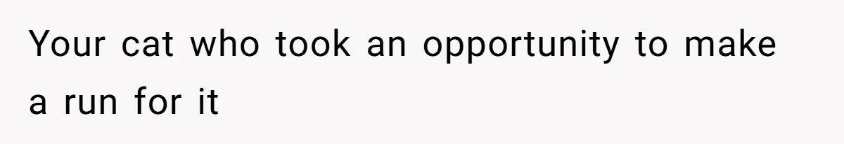 Your cat who took an opportunity to make a run for it