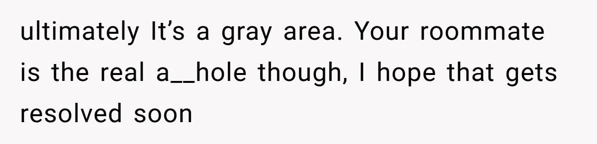 ultimately It’s a gray area. Your roommate is the real a__hole though, I hope that gets resolved soon