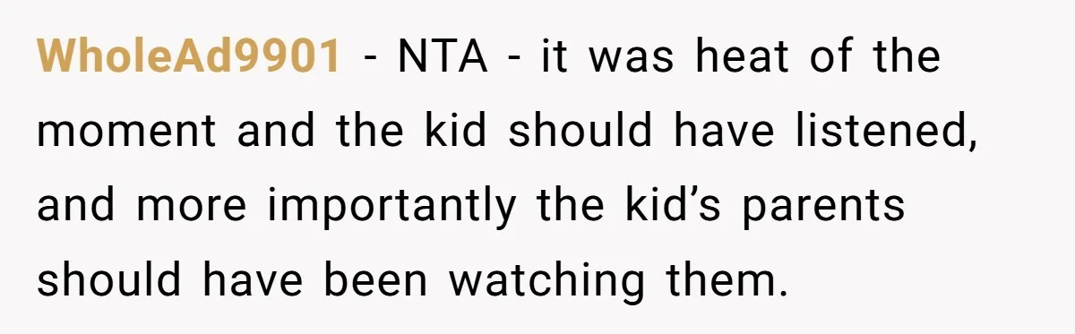 WholeAd9901 − NTA - it was heat of the moment and the kid should have listened, and more importantly the kid’s parents should have been watching them.