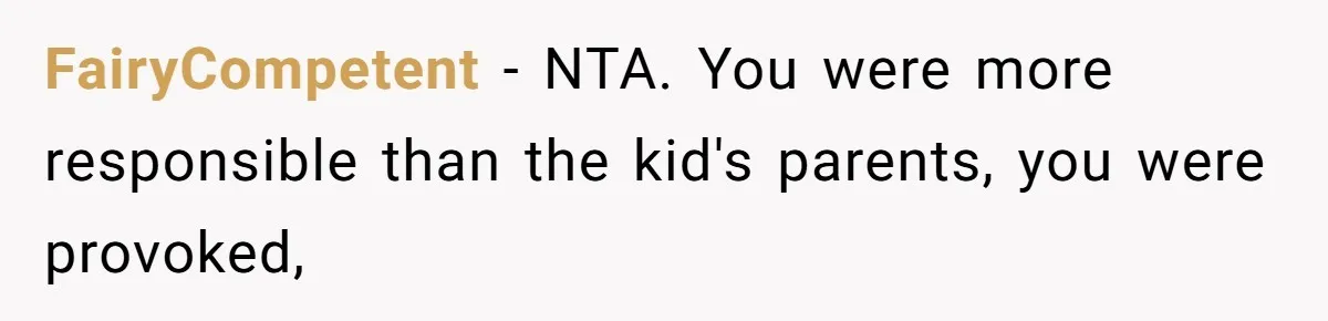 FairyCompetent − NTA. You were more responsible than the kid's parents, you were provoked,
