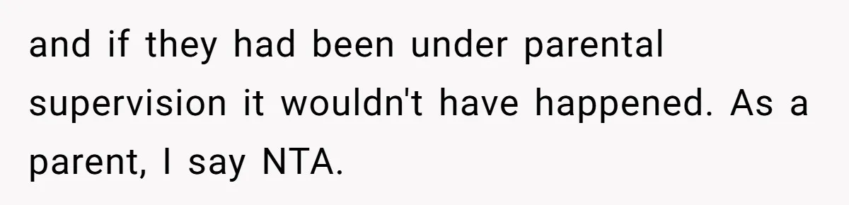 and if they had been under parental supervision it wouldn't have happened. As a parent, I say NTA.