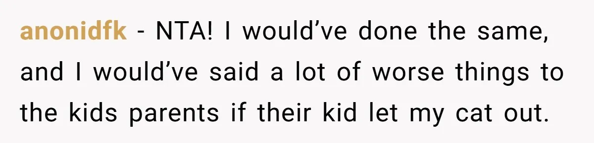 anonidfk − NTA! I would’ve done the same, and I would’ve said a lot of worse things to the kids parents if their kid let my cat out.