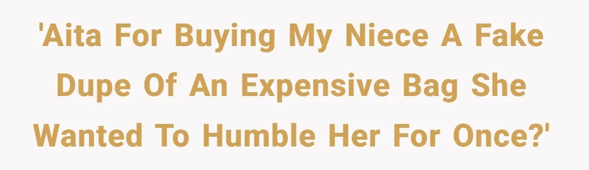 'AITA for buying my niece a fake dupe of an expensive bag she wanted to humble her for once?'