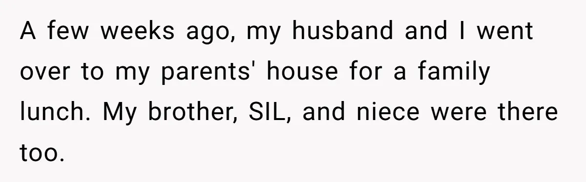 A few weeks ago, my husband and I went over to my parents' house for a family lunch. My brother, SIL, and niece were there too.
