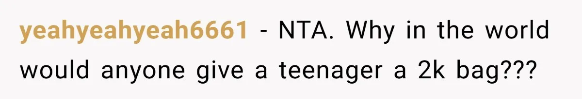 yeahyeahyeah6661 − NTA. Why in the world would anyone give a teenager a 2k bag???