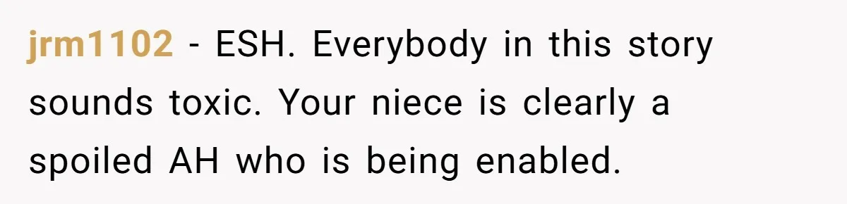 jrm1102 − ESH. Everybody in this story sounds toxic. Your niece is clearly a spoiled AH who is being enabled.