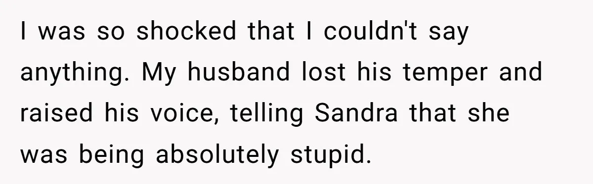 I was so shocked that I couldn't say anything. My husband lost his temper and raised his voice, telling Sandra that she was being absolutely stupid.