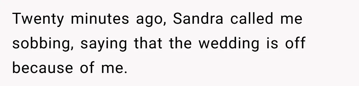Twenty minutes ago, Sandra called me sobbing, saying that the wedding is off because of me.