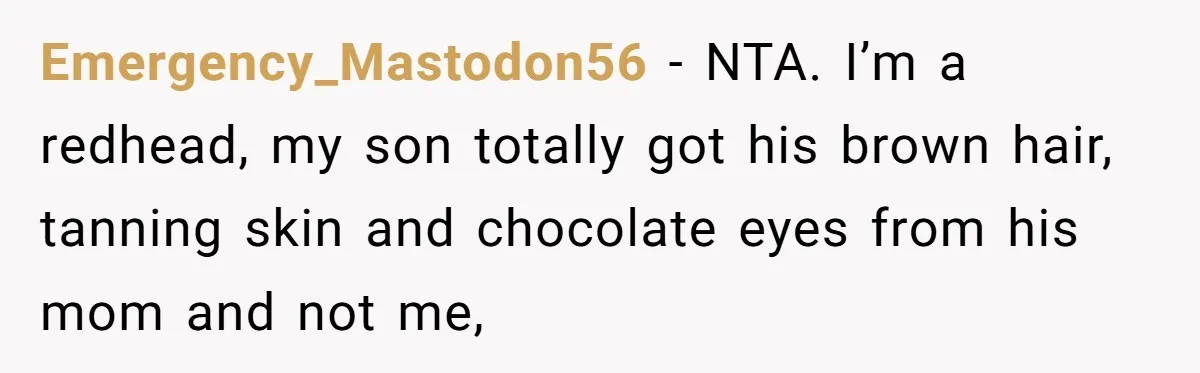 Emergency_Mastodon56 − NTA. I’m a redhead, my son totally got his brown hair, tanning skin and chocolate eyes from his mom and not me,
