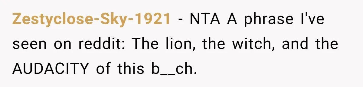 Zestyclose-Sky-1921 − NTA A phrase I've seen on reddit: The lion, the witch, and the AUDACITY of this b__ch.