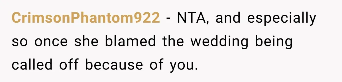 CrimsonPhantom922 − NTA, and especially so once she blamed the wedding being called off because of you.