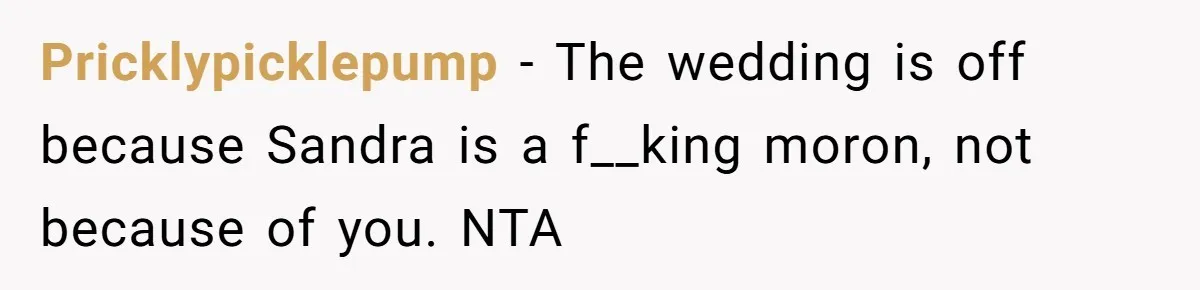 Pricklypicklepump − The wedding is off because Sandra is a f__king moron, not because of you. NTA