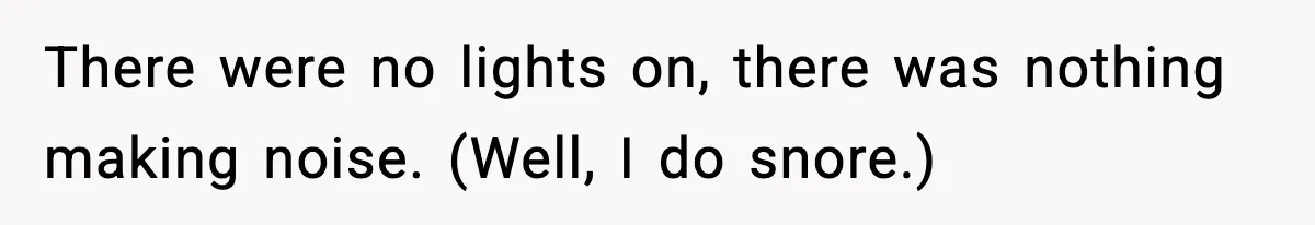There were no lights on, there was nothing making noise. (Well, I do snore.)