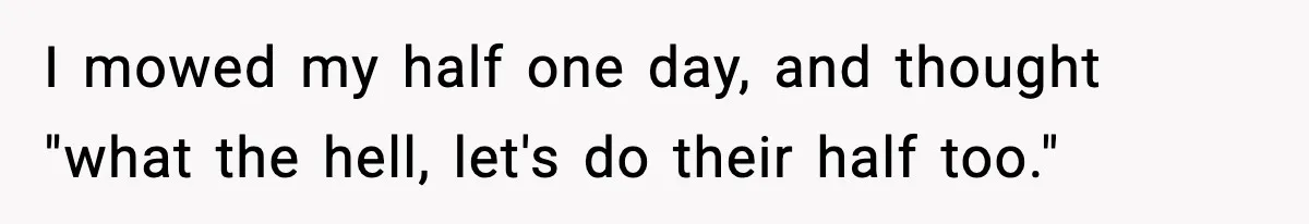 I mowed my half one day, and thought "what the hell, let's do their half too."