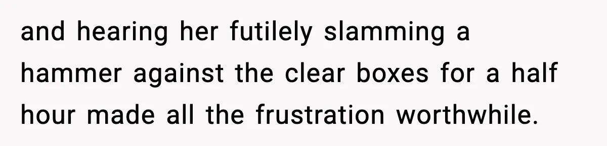 and hearing her futilely slamming a hammer against the clear boxes for a half hour made all the frustration worthwhile.