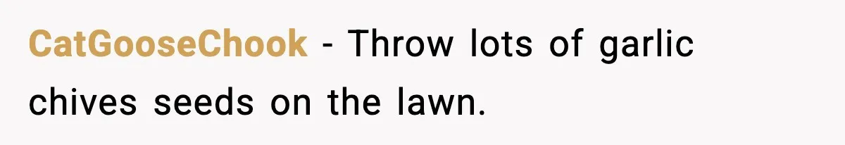 CatGooseChook − Throw lots of garlic chives seeds on the lawn.