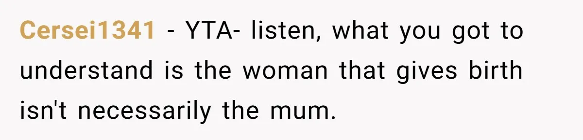 Cersei1341 − YTA- listen, what you got to understand is the woman that gives birth isn't necessarily the mum.