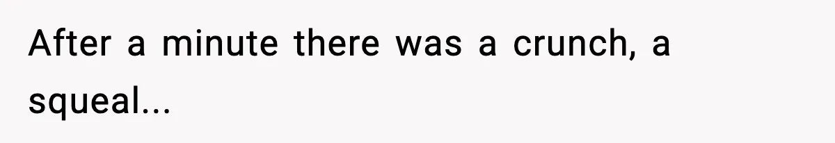 After a minute there was a crunch, a squeal...