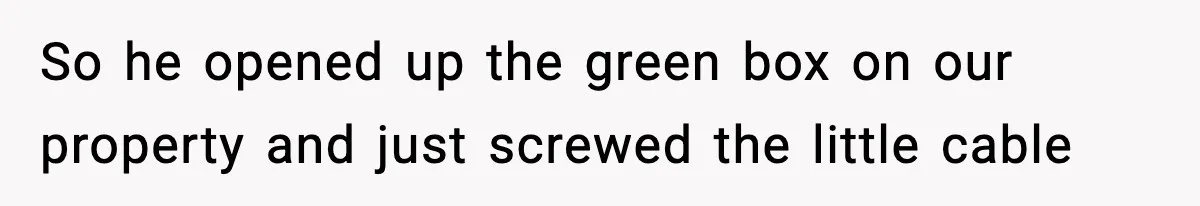 So he opened up the green box on our property and just screwed the little cable