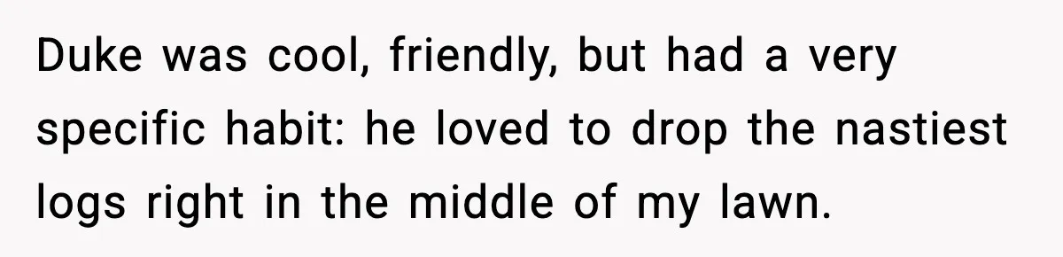 Duke was cool, friendly, but had a very specific habit: he loved to drop the nastiest logs right in the middle of my lawn.