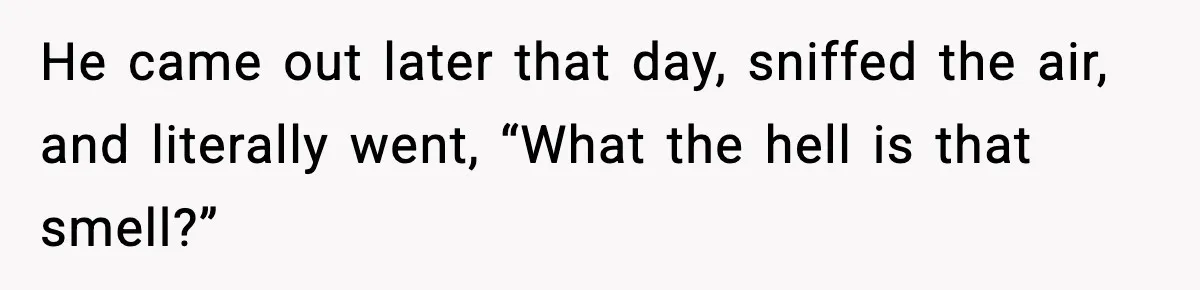 He came out later that day, sniffed the air, and literally went, “What the hell is that smell?”