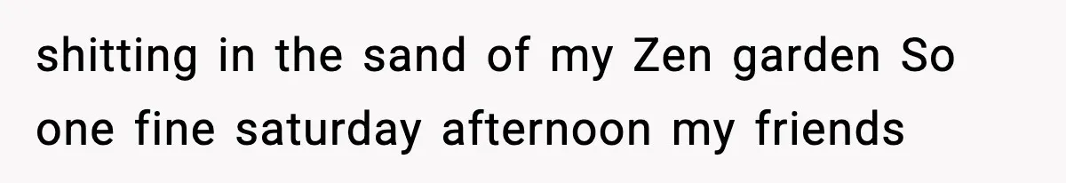 shitting in the sand of my Zen garden So one fine saturday afternoon my friends