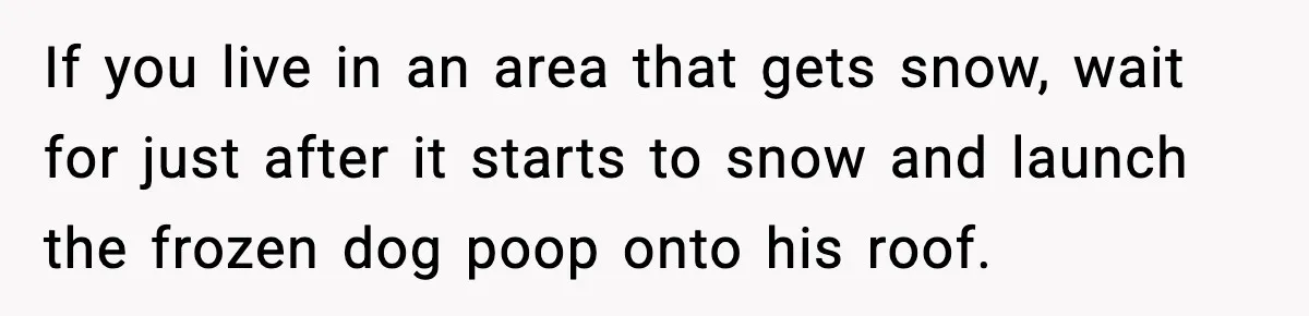 If you live in an area that gets snow, wait for just after it starts to snow and launch the frozen dog poop onto his roof.