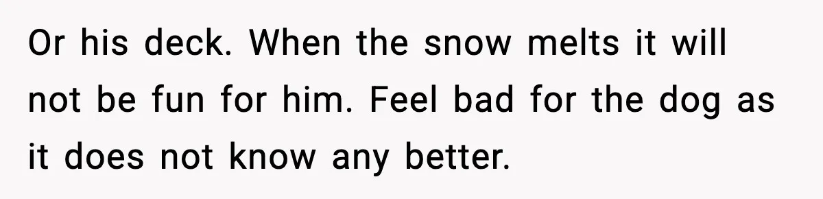 Or his deck. When the snow melts it will not be fun for him. Feel bad for the dog as it does not know any better.