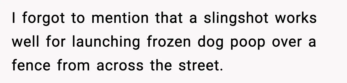 I forgot to mention that a slingshot works well for launching frozen dog poop over a fence from across the street.