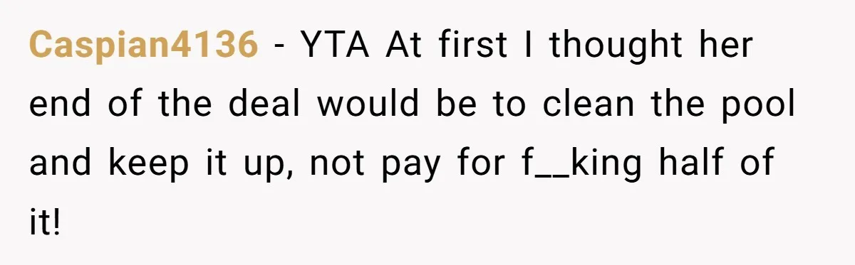 Caspian4136 − YTA At first I thought her end of the deal would be to clean the pool and keep it up, not pay for f__king half of it!