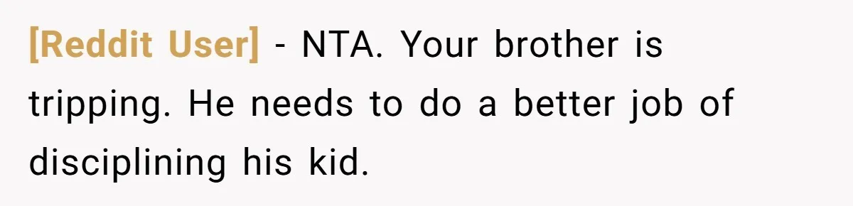 [Reddit User] − NTA. Your brother is tripping. He needs to do a better job of disciplining his kid.