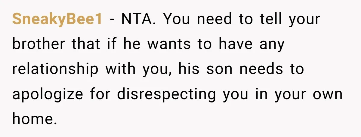 SneakyBee1 − NTA. You need to tell your brother that if he wants to have any relationship with you, his son needs to apologize for disrespecting you in your own...